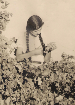 תמונה של הצעירה עם הצמות - חסיה נימרי - 1937
