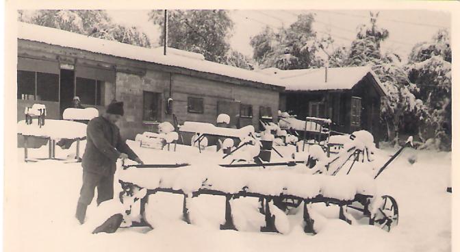 תמונה של שלג - 1951 - המחרשה מכוסה שלג - צילם עלי רר