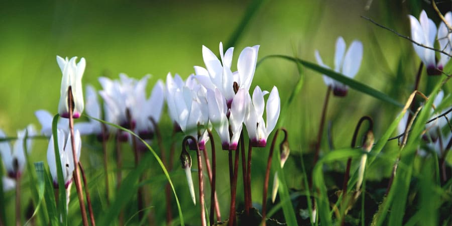 ---יוסי-ריגלר-2