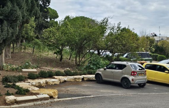 הצעת חברת "ביטוח חקלאי" לתושבי שריד – מאת: שולי חמדי