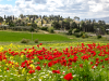 קול קורא – 4 נציגי ציבור לצמ"ד